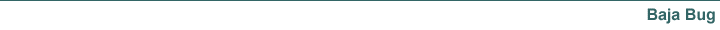 Baja Bug